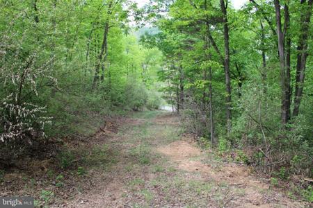 10.172 AC PROCTOR ROAD
