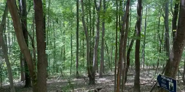 DOGWOOD LANE