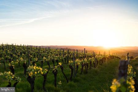 4500 WINERY LANE