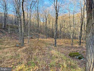 LOT 38 MONONGAHELA LANE