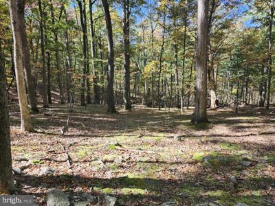 MILL MOUNTAIN ROAD