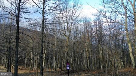 16326 LAURELHURST BOULEVARD