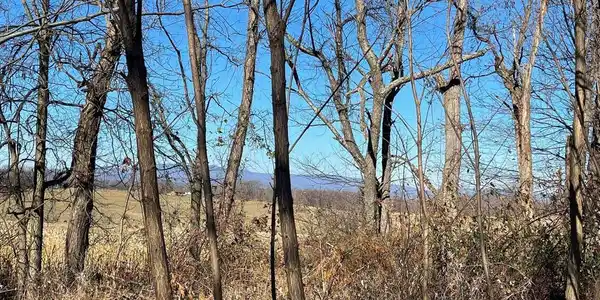 00 CHESTNUT RIDGE RD