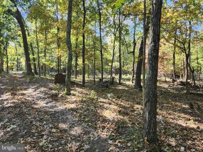 MILL MOUNTAIN ROAD