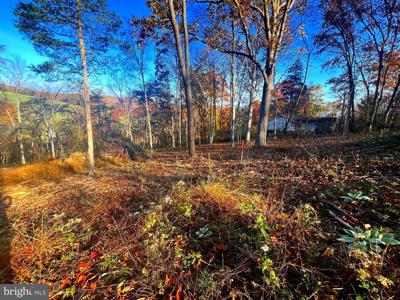 Lot 4/ PATTERSON CREEK RD