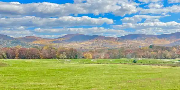 10 ac BUCK MOUNTAIN RD