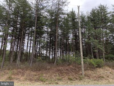 BUTTERNUT DRIVE