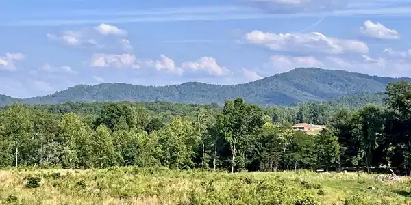7337-C DICK WOODS RD