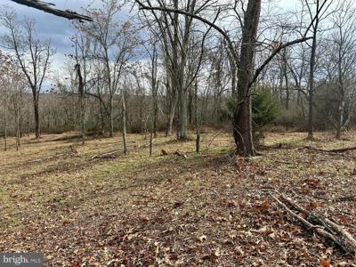 24A FOX RUN ROAD