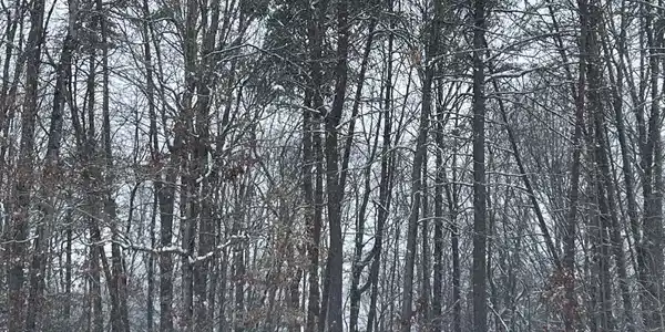0 WILDERNESS ROAD