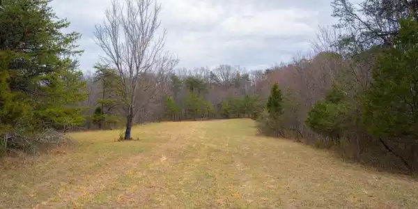 WARDENSVILLE GRADE