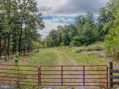 COPPERHEAD LANE