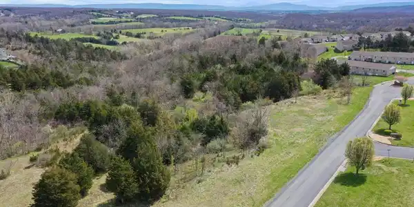TBD SIGNAL KNOB