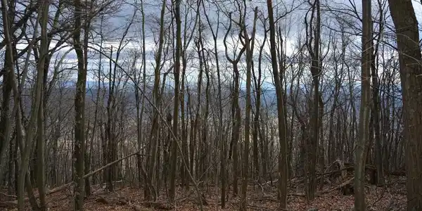 ROCKWOOD TRAIL