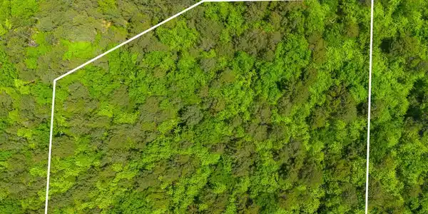 Lot 315A TIMBER RIDGE TRAIL