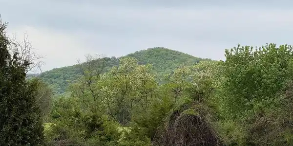 Lot 72 LEOLA LOOP