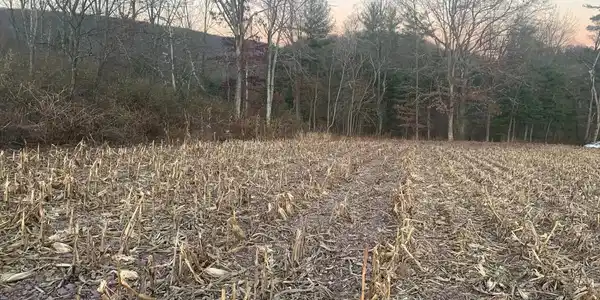 0 WEST SIDE OF STEIN ROAD