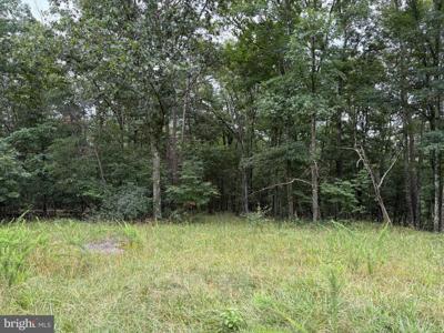 9.31 AC PINE TREE DRIVE