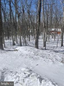 80 BEECH DRIVE