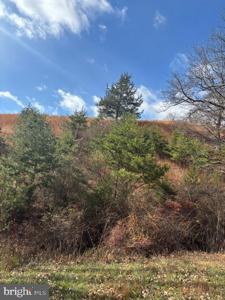 EWING DRIVE