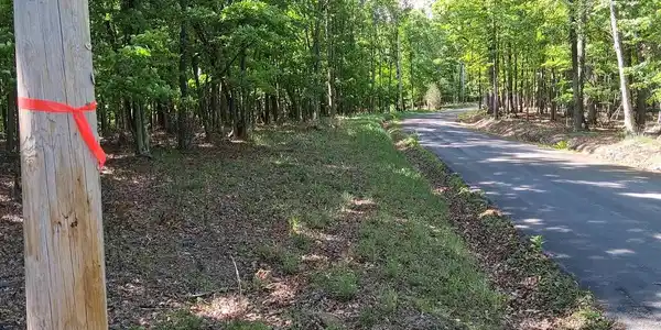 Lot 1 YOUNGBLOOD ROAD