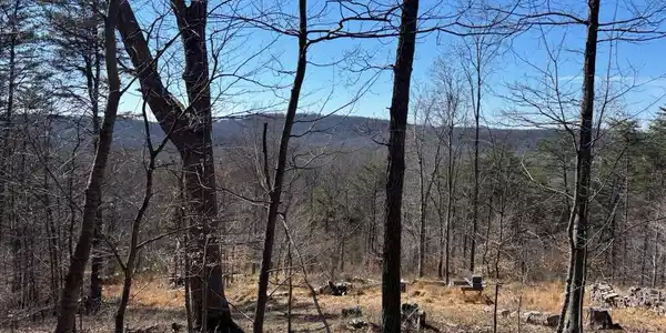 CARTERS RUN