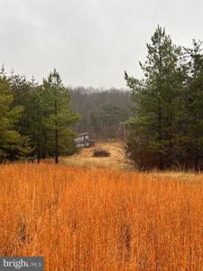 1990 COLLINSVILLE ROAD