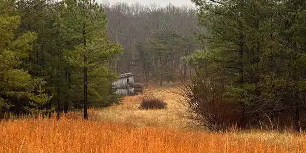 1990 COLLINSVILLE ROAD