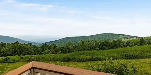 1643 OVERLOOK CONDOS