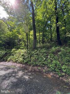 LOT 147 TOMAHAWK TRAIL
