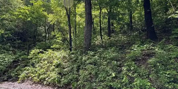 LOT 147 TOMAHAWK TRAIL