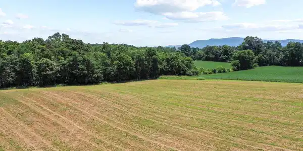 OLD GRADE ROAD