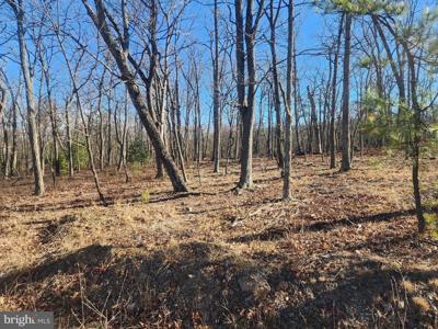 LOT PIONEER LANE