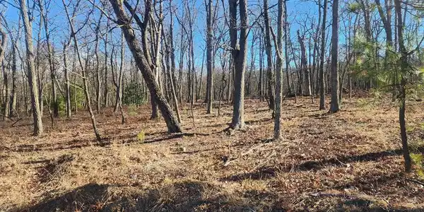 LOT PIONEER LANE