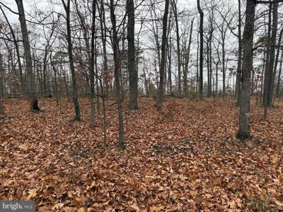 0 WHITE PINE LANE