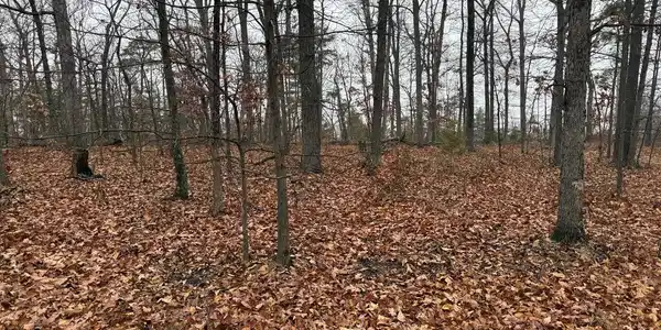 0 WHITE PINE LANE