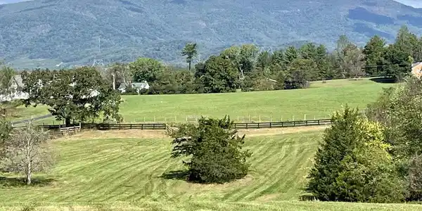 MIDWAY RD