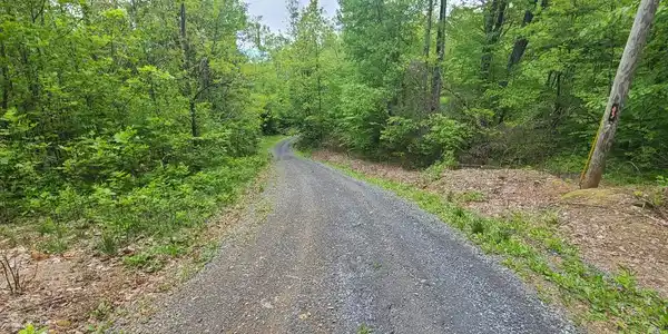 MOSBY SPRING LANE