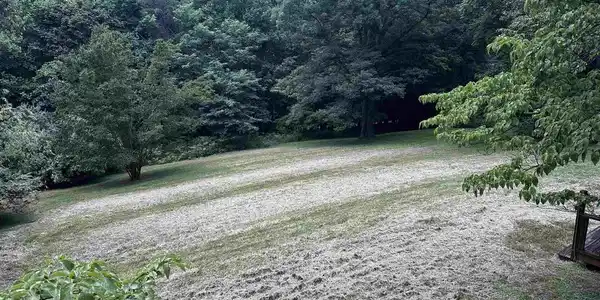 301 GILLUMS RIDGE RD