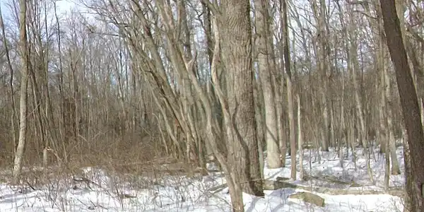 HUNTERS RD