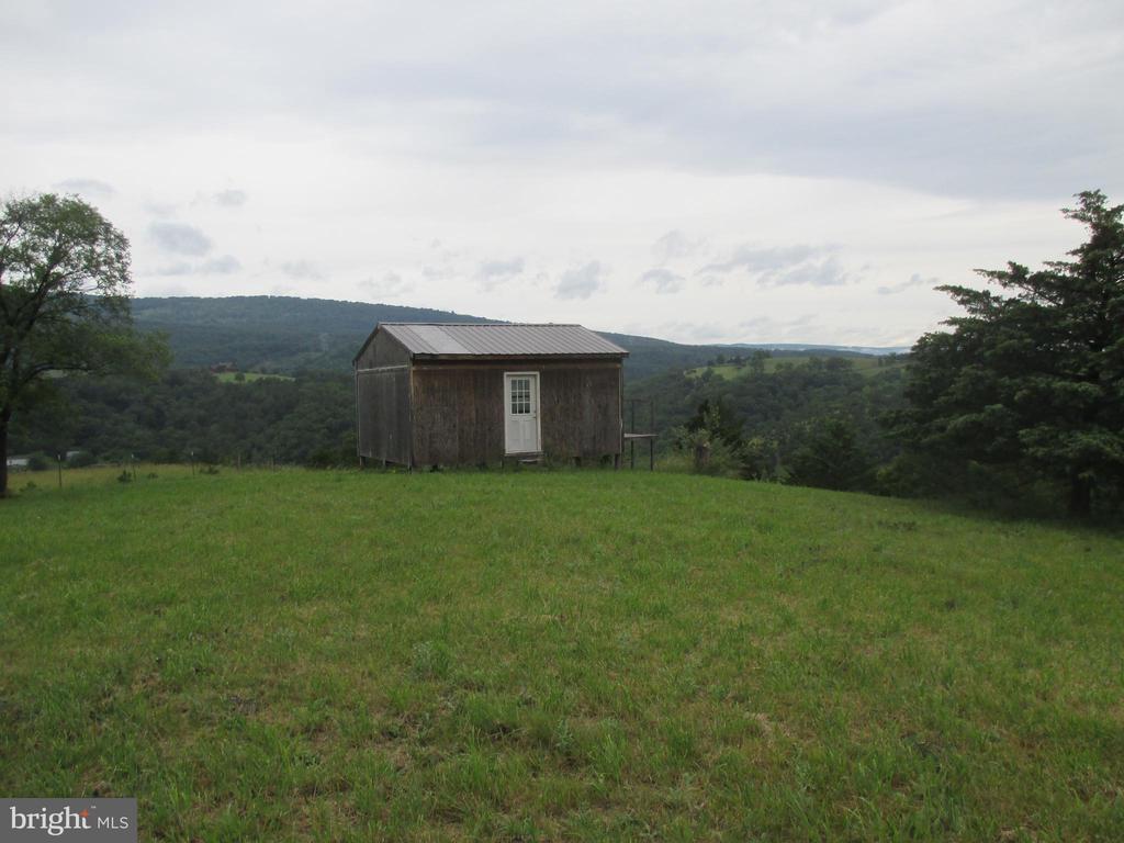 Image 4