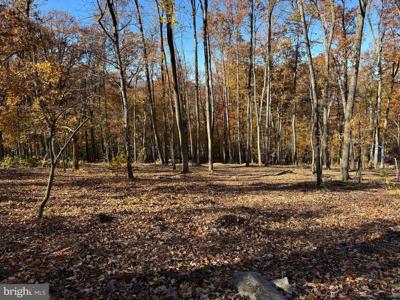0 DIGGING BEAR LN