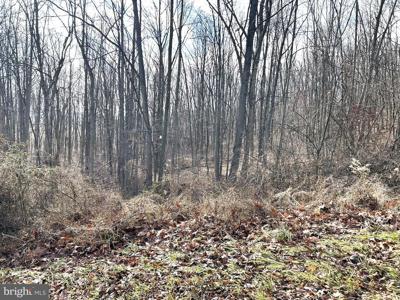 LOT #17 WEAVER WOODS RD