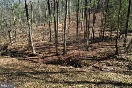 LOT ON CAMP LANE