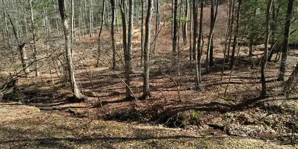 LOT ON CAMP LANE