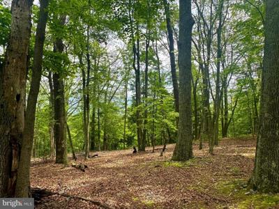 5620 HIGH KNOB LOOP