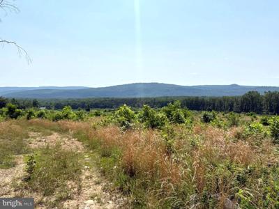 CRITTON OWL HOLLOW ROAD