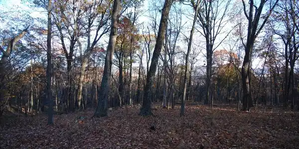 Lot 67 MILL MOUNTAIN ROAD