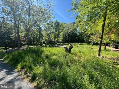 7 FAWN TRAIL