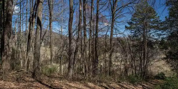 MIDDLE RIVER RD